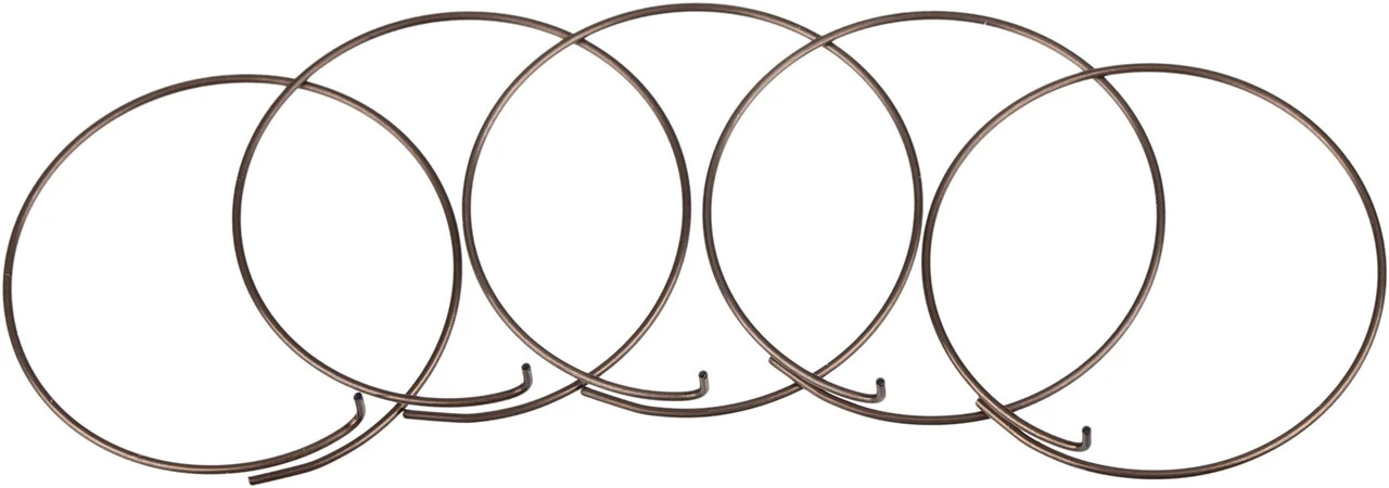 Fulcrum Sperrklinkenfedern 5-RM0-005 Für MTB Freilaufkörper